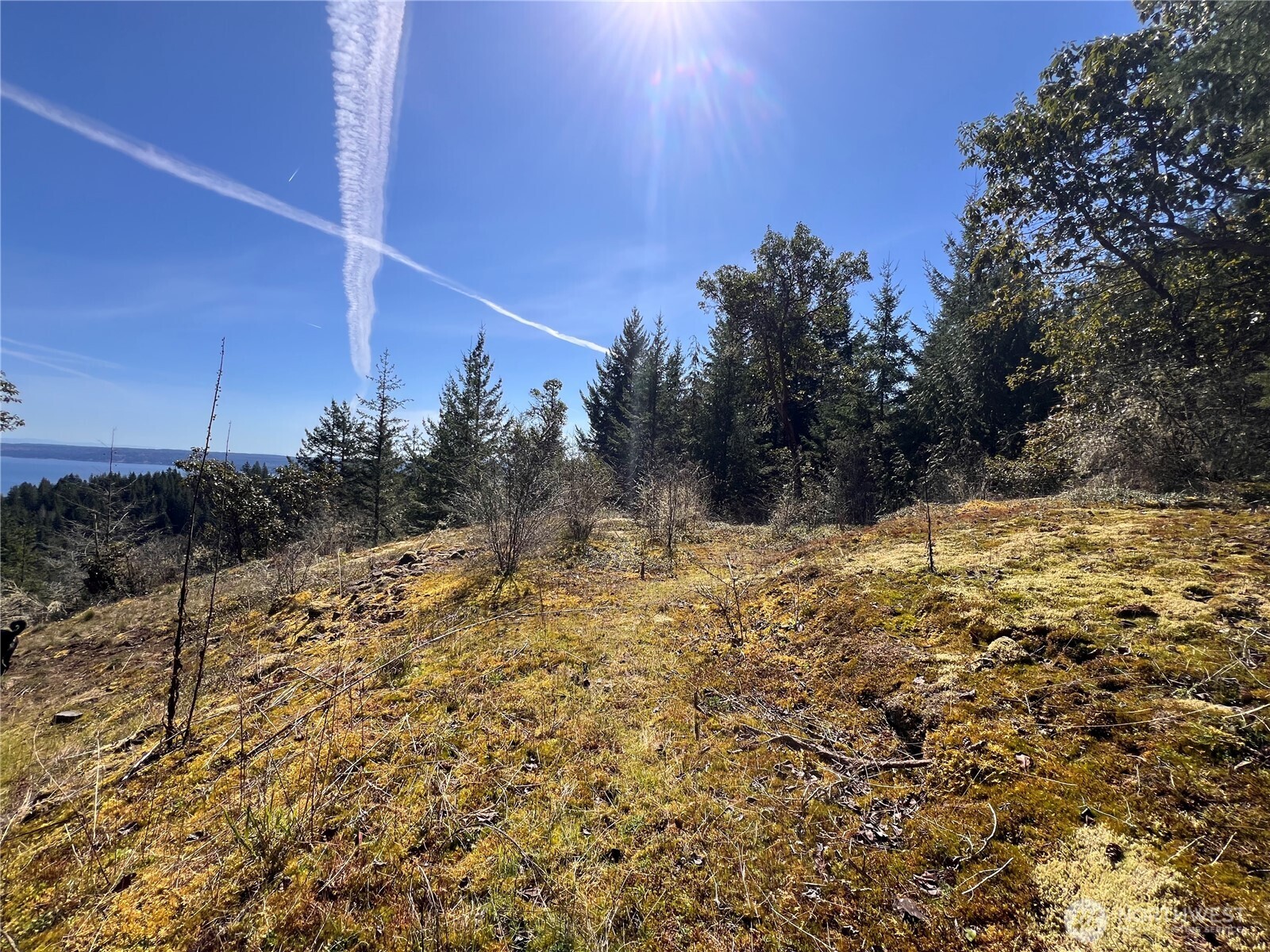 59 X Moose Mountain Road Brinnon, WA 98320 - Photo 21 of 24