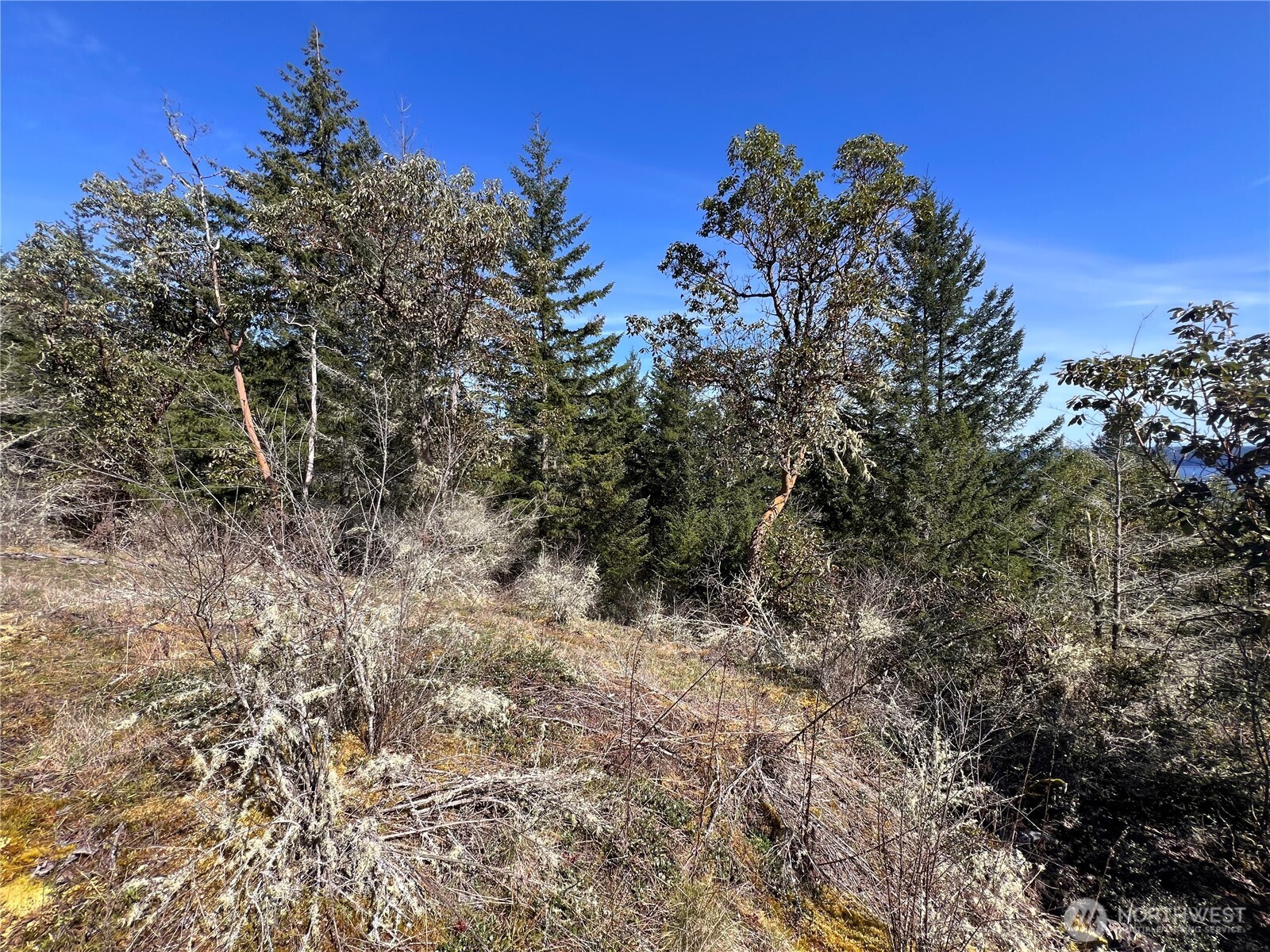 59 X Moose Mountain Road Brinnon, WA 98320 - Photo 24 of 24