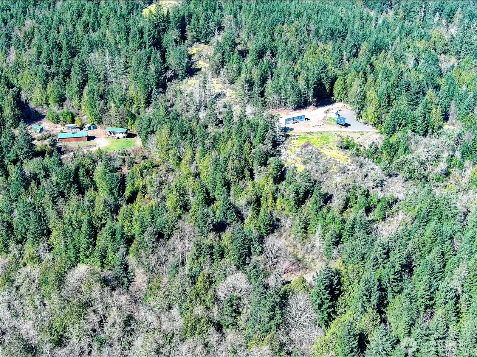 59 X Moose Mountain Road Brinnon, WA 98320 - Photo 8 of 24