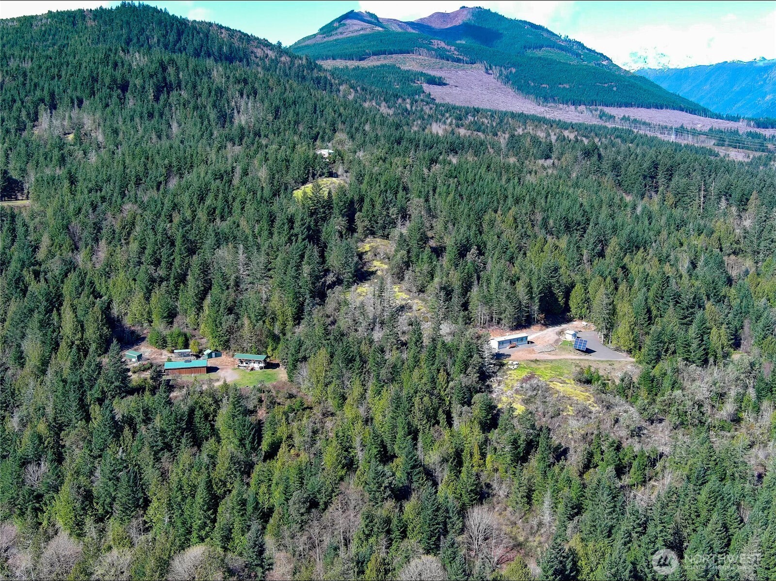 59 X Moose Mountain Road Brinnon, WA 98320 - Photo 9 of 24