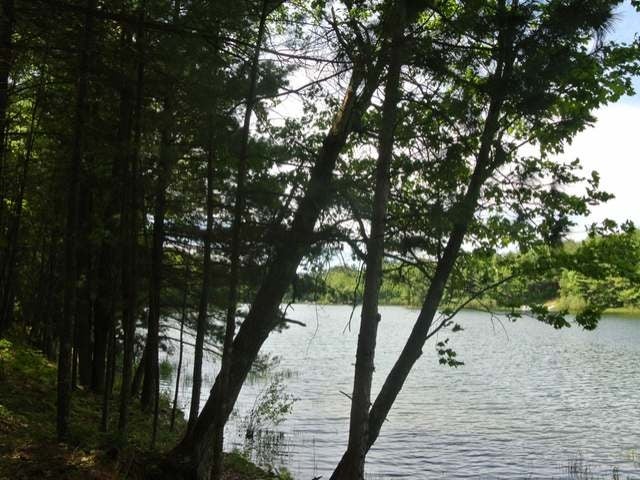Lot 1 North Bluebird Road Lake Tomahawk, WI 54539 - Photo 7 of 20 Gallery Image 7