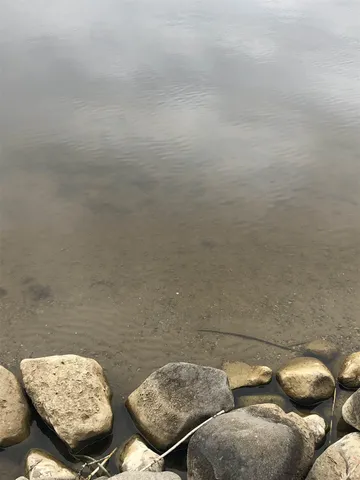 $299,900 | Lot 36 Lane 180 Turkey Lake, Hudson, IN 46747