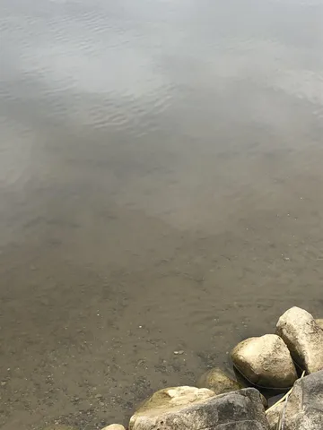 $299,900 | Lot 36 Lane 180 Turkey Lake, Hudson, IN 46747