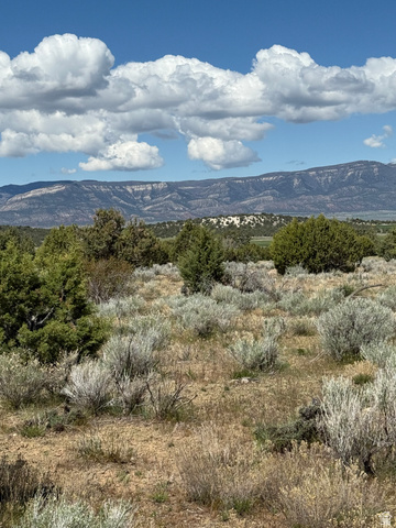 Undisclosed Address Spring City, UT 84662 - Photo 1 of 12 Expansive undeveloped land featuring natural vegetation and distant mountain ranges