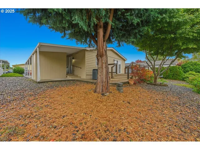 a house with a tree in front of it