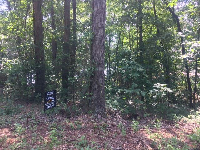 Lot 1 Fagan Drive Inman, SC 29349 - Photo 3 of 6 Gallery Image 3