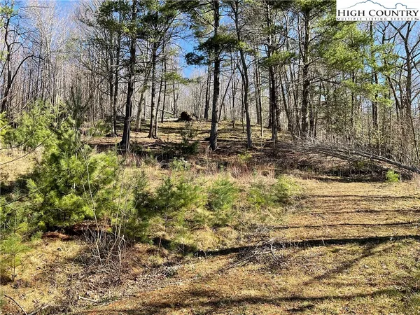 $105,000 | Tbd Lot 34 Tbd Parkway, Elk Park, NC 28622