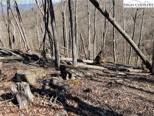 $105,000 | Tbd Lot 34 Tbd Parkway, Elk Park, NC 28622