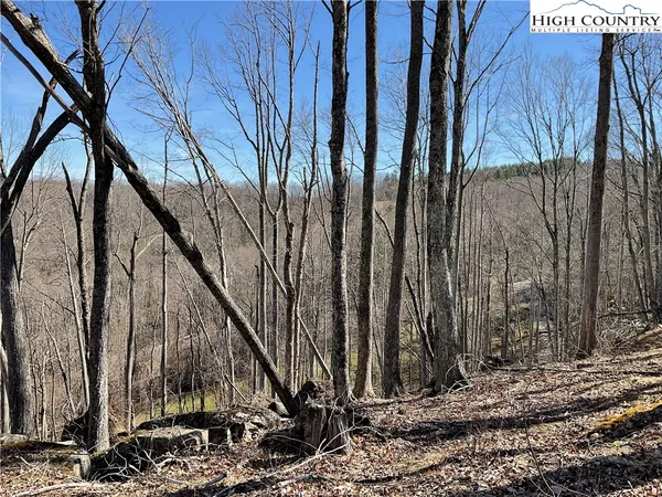 $105,000 | Tbd Lot 34 Tbd Parkway, Elk Park, NC 28622