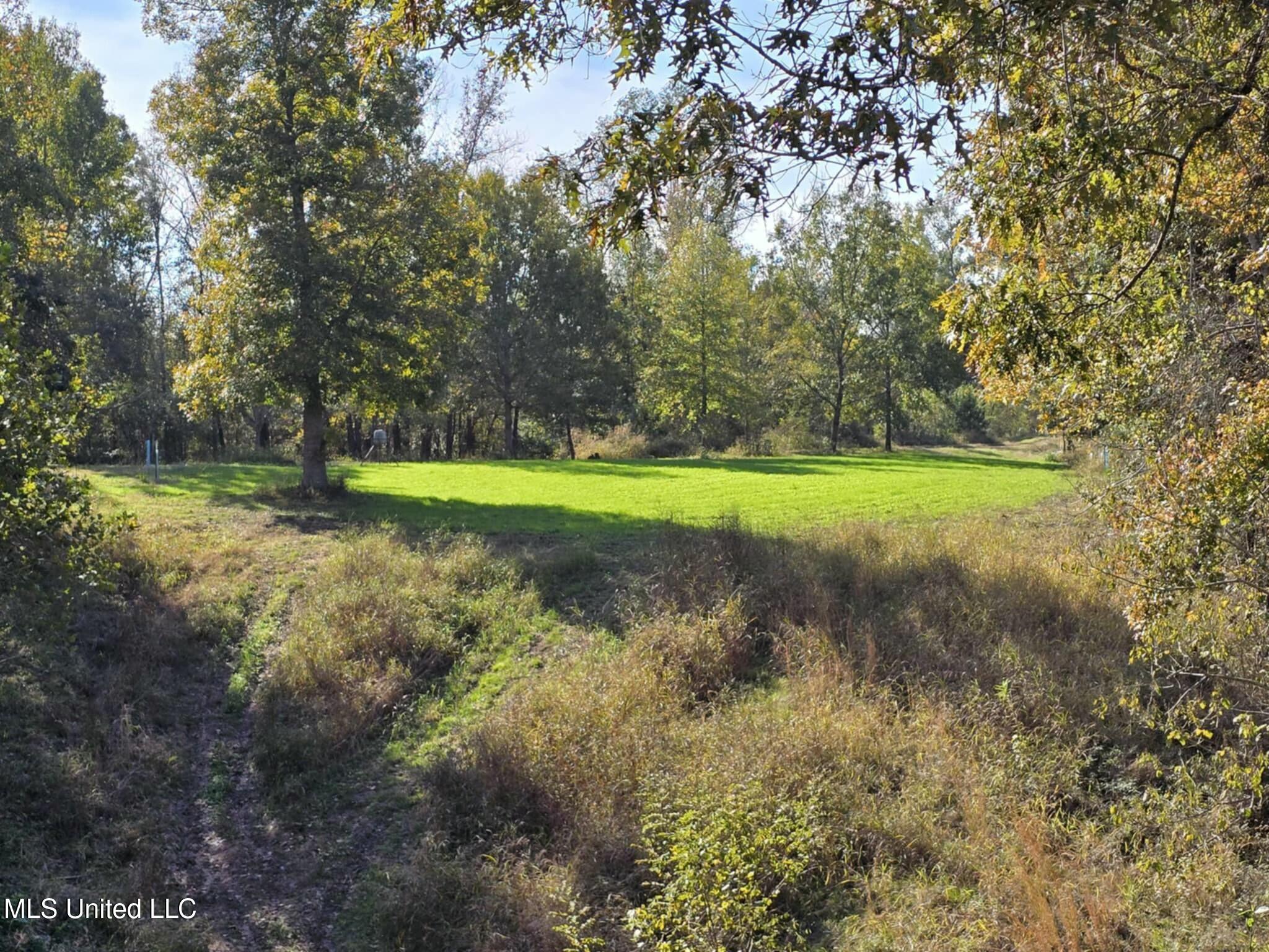 38 Holstead Road Natchez, MS 39120 - Photo 46 of 58 tempImageuNYLaT