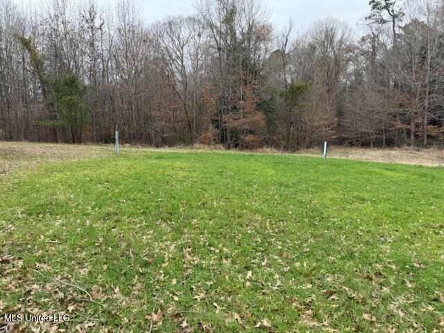 38 Holstead Road Natchez, MS 39120 - Photo 48 of 58 tempImagefPmnAN