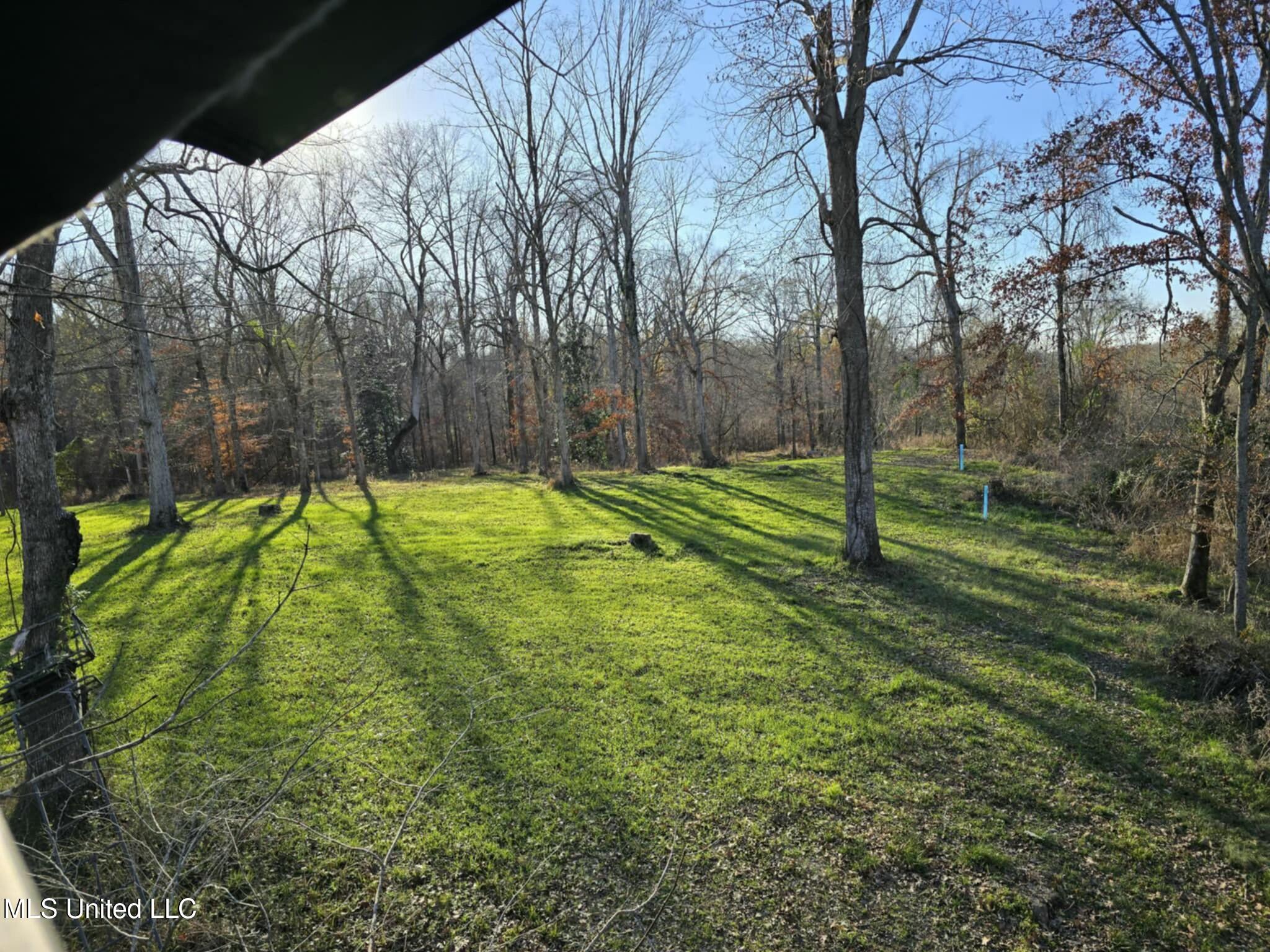 38 Holstead Road Natchez, MS 39120 - Photo 53 of 58 tempImagea1wFAy