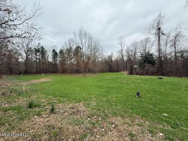 38 Holstead Road Natchez, MS 39120 - Photo 54 of 58 tempImageByydCu