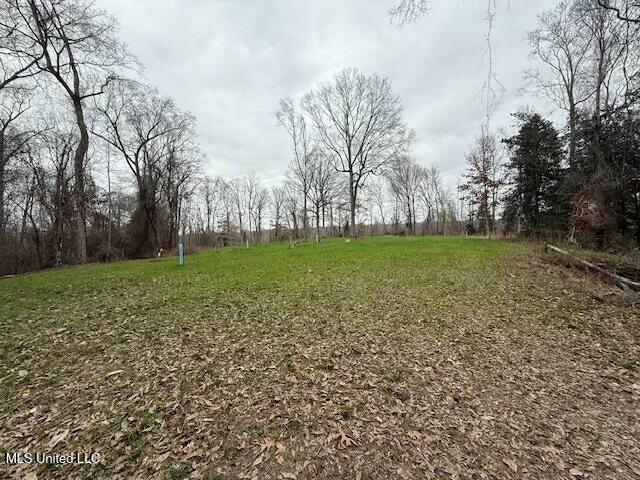 38 Holstead Road Natchez, MS 39120 - Photo 56 of 58 tempImagerN4ehE