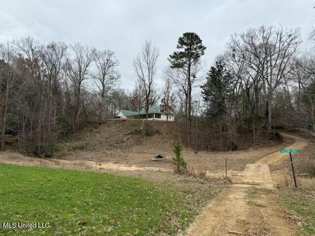 38 Holstead Road Natchez, MS 39120 - Photo 57 of 58 tempImageHDQU95