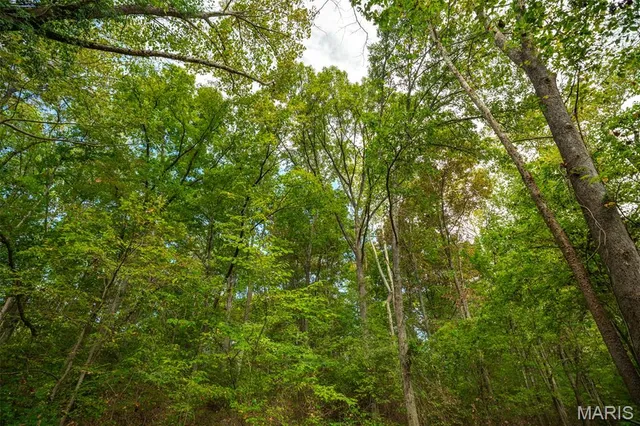 $380,000 | 498 Panama Avenue, Sorento, IL 62086