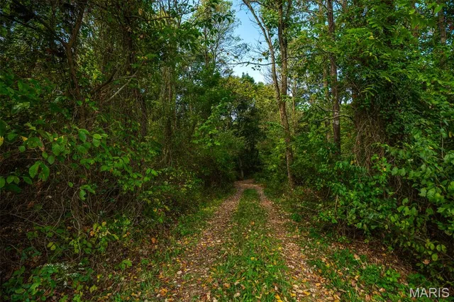 $380,000 | 498 Panama Avenue, Sorento, IL 62086