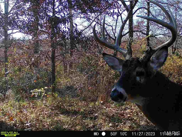 $380,000 | 498 Panama Avenue, Sorento, IL 62086