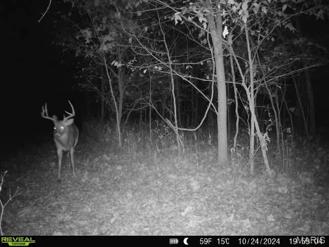 $380,000 | 498 Panama Avenue, Sorento, IL 62086