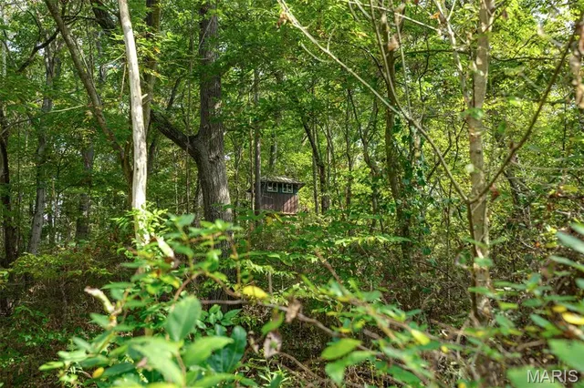 $380,000 | 498 Panama Avenue, Sorento, IL 62086