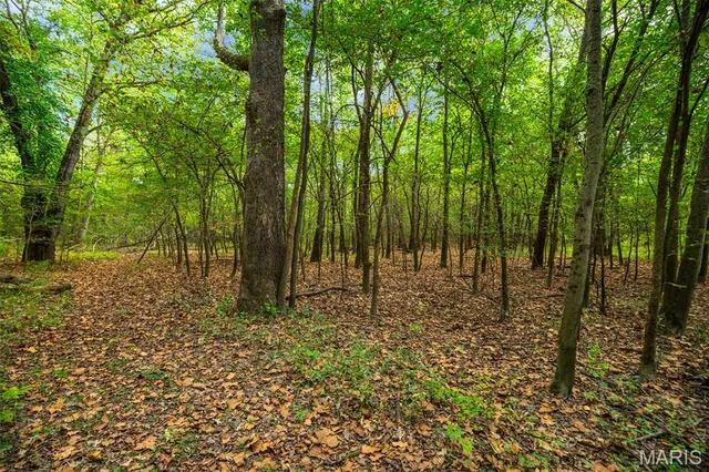 $380,000 | 498 Panama Avenue, Sorento, IL 62086