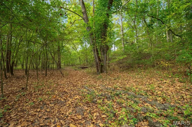 $380,000 | 498 Panama Avenue, Sorento, IL 62086