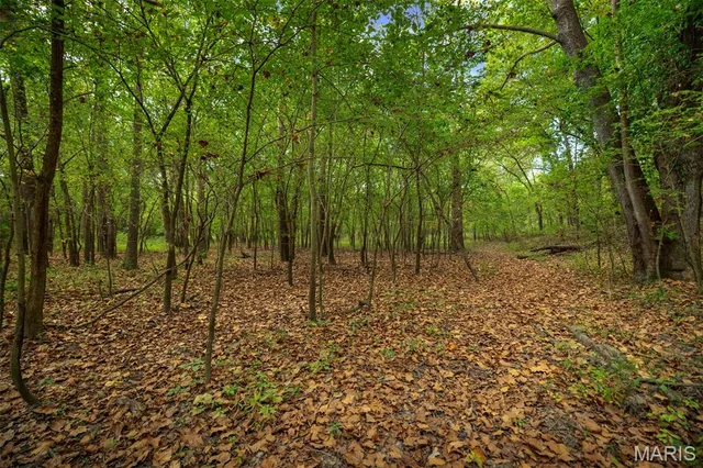 $380,000 | 498 Panama Avenue, Sorento, IL 62086