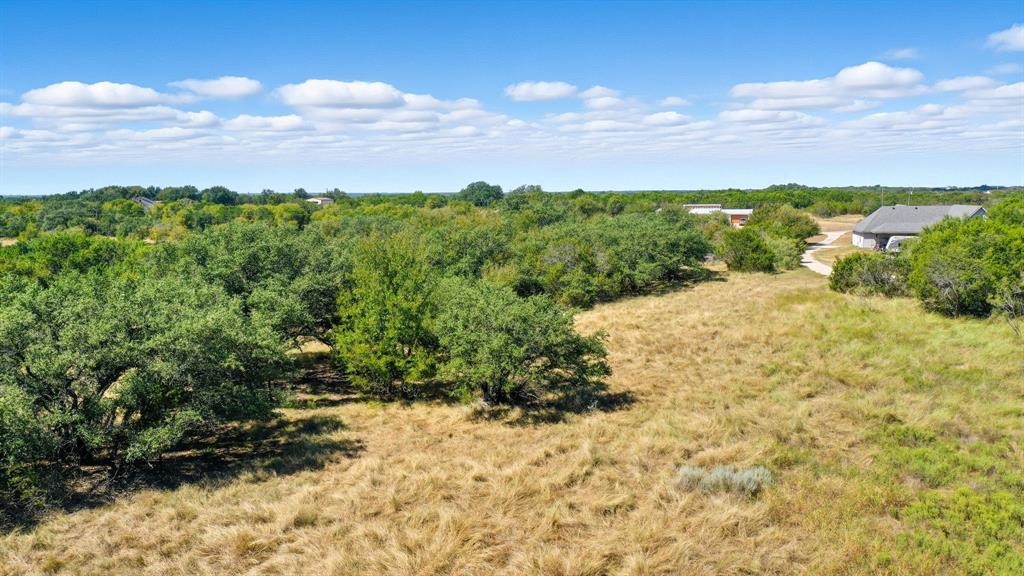 475 Overlook Ridge Bluff Dale, TX 76433 - Photo 11 of 27 a view of a yard with plants and mountain view