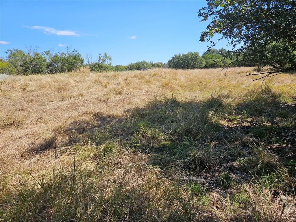 475 Overlook Ridge Bluff Dale, TX 76433 - Photo 2 of 27 a view of lake and mountain