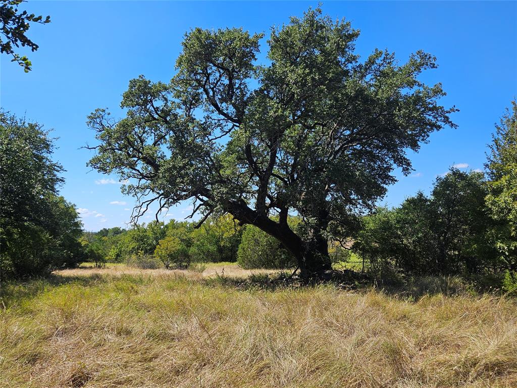 475 Overlook Ridge Bluff Dale, TX 76433 - Photo 4 of 27 a view of a yard with a tree