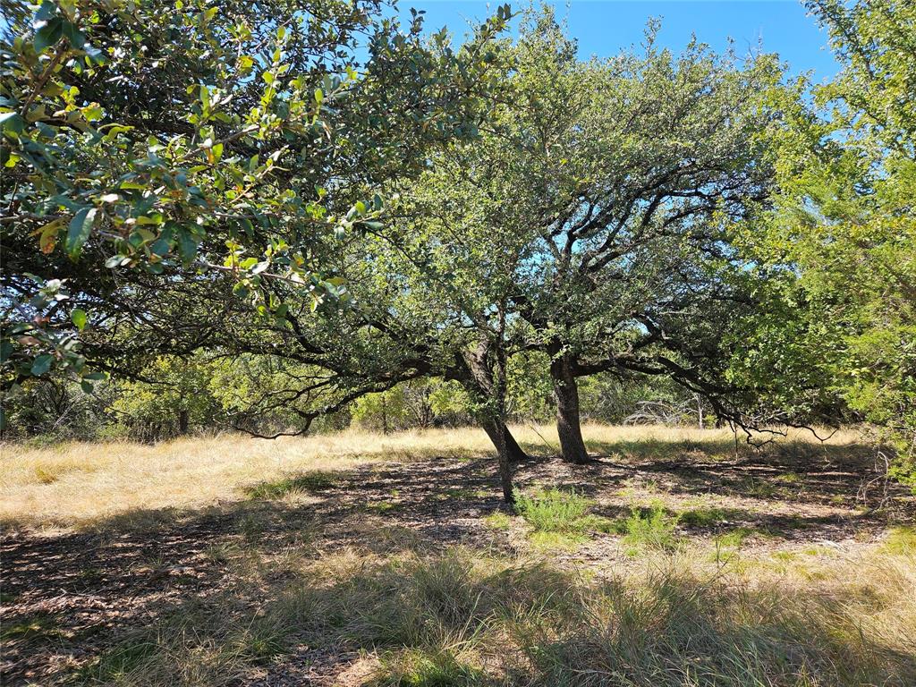 475 Overlook Ridge Bluff Dale, TX 76433 - Photo 5 of 27 a view of a yard with a tree