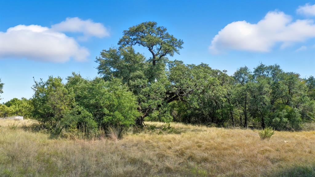 475 Overlook Ridge Bluff Dale, TX 76433 - Photo 7 of 27 a view of a yard and mountain in the background