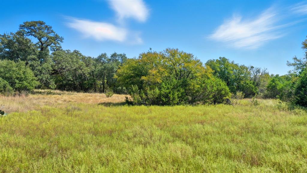 475 Overlook Ridge Bluff Dale, TX 76433 - Photo 8 of 27 a view of a yard with a tree