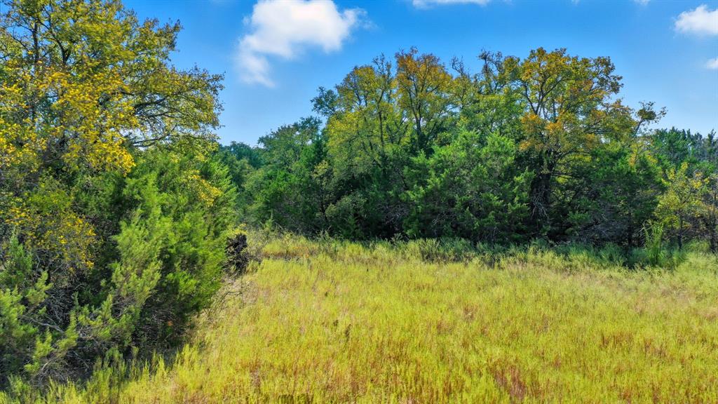 475 Overlook Ridge Bluff Dale, TX 76433 - Photo 9 of 27 a view of a yard