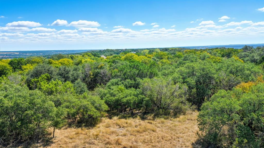 475 Overlook Ridge Bluff Dale, TX 76433 - Photo 10 of 27 a view of an outdoor space and mountain view