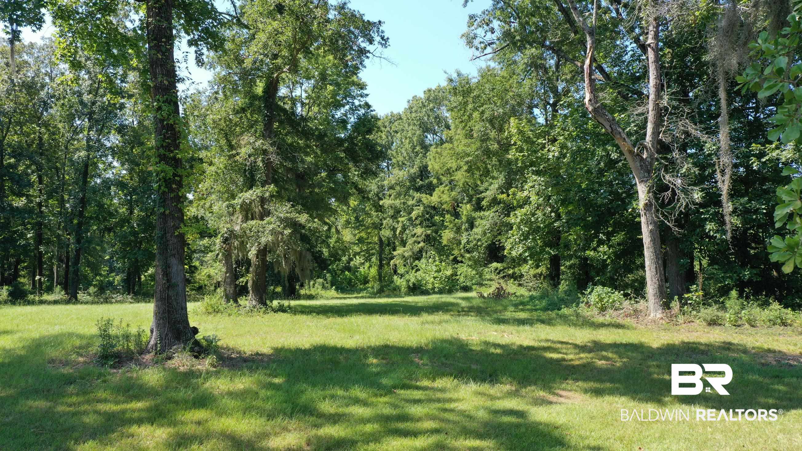 Lot 21 Judge Greene Place Road Greensboro, AL 36744 - Photo 1 of 50