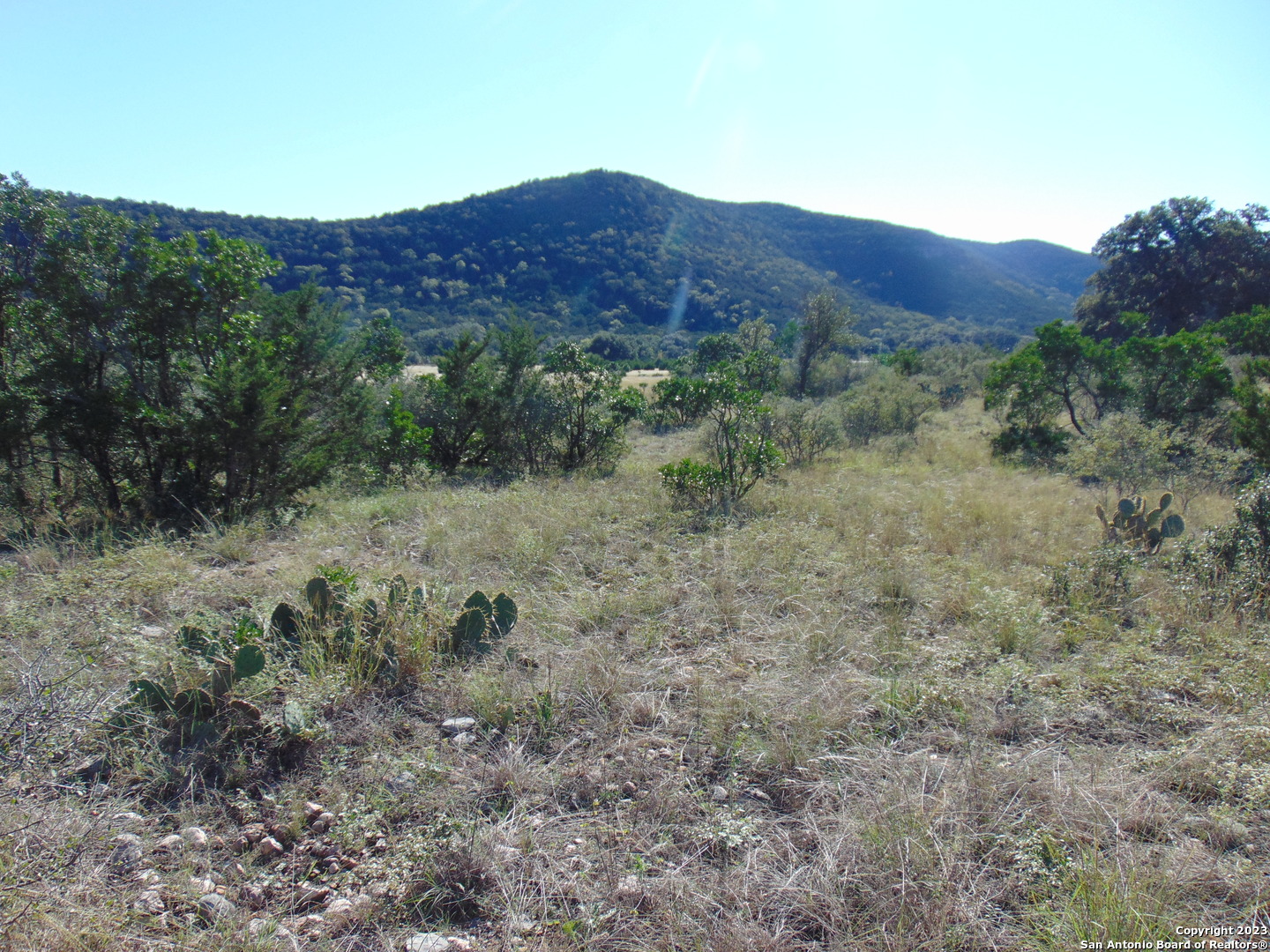 0 John Buchanan Leakey, TX 78873 - Photo 3 of 14