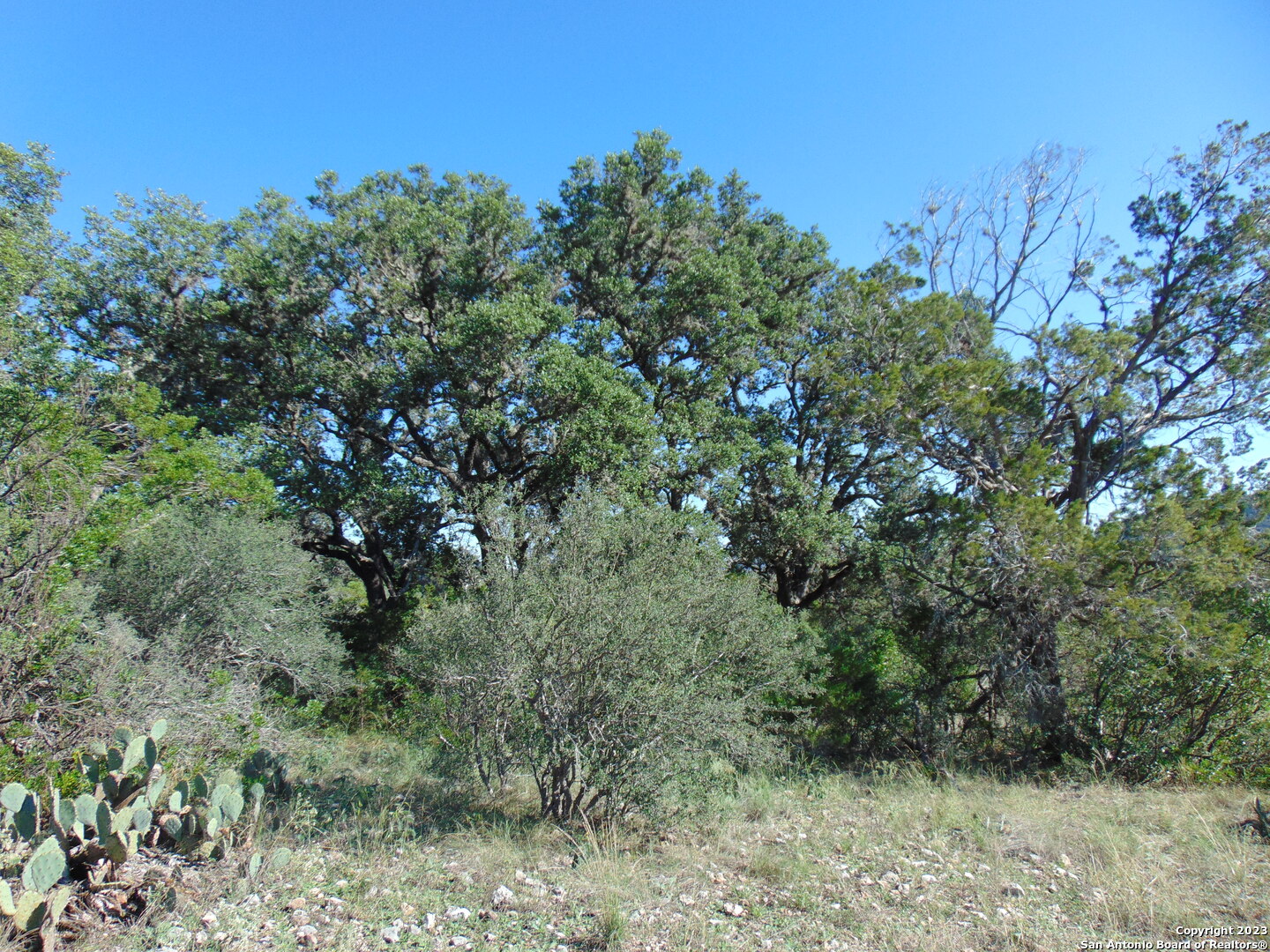 0 John Buchanan Leakey, TX 78873 - Photo 8 of 14