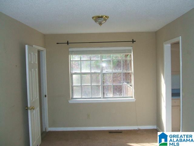 4705 Cook Springs Road Pell City, AL 35125 - Photo 14 of 20
