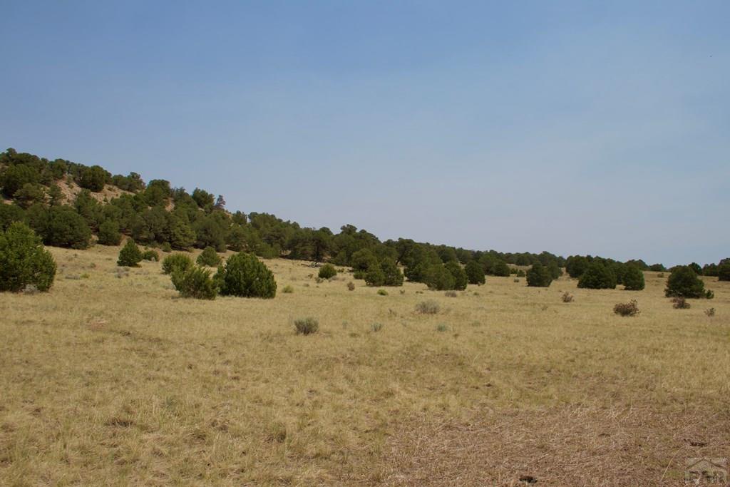 Unit #4 Unit Road Walsenburg, CO 81089 - Photo 6 of 36
