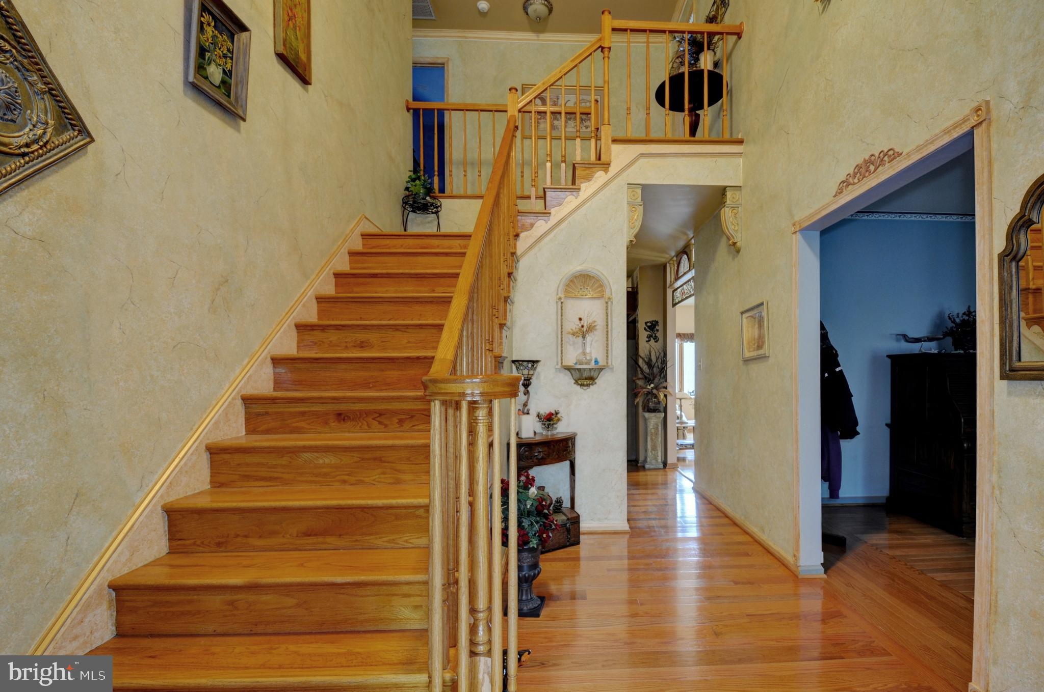 3970 Panhandle Road Front Royal, VA 22630 - Photo 11 of 93 Foyer with dual stairway