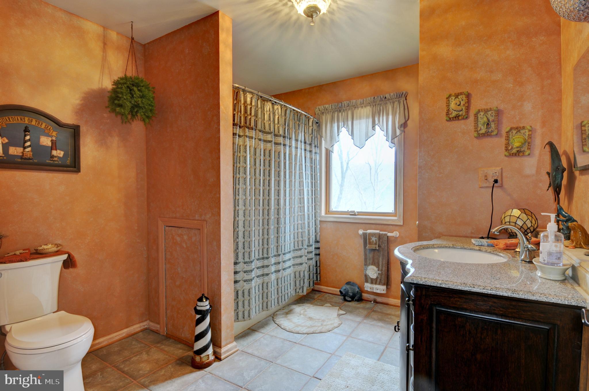 3970 Panhandle Road Front Royal, VA 22630 - Photo 49 of 93 Upstairs custom painted bath