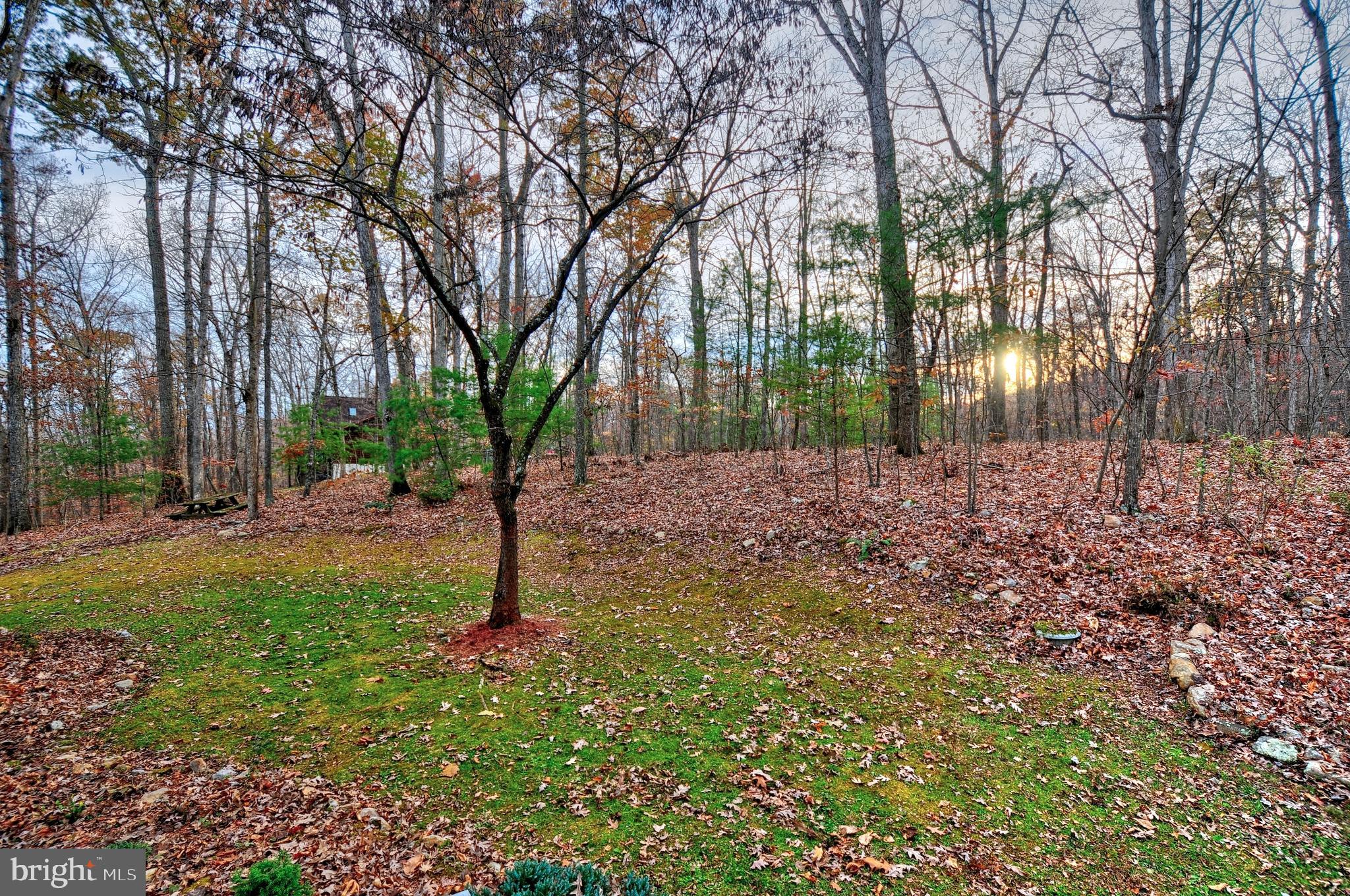 3970 Panhandle Road Front Royal, VA 22630 - Photo 79 of 93 Gallery Image 79
