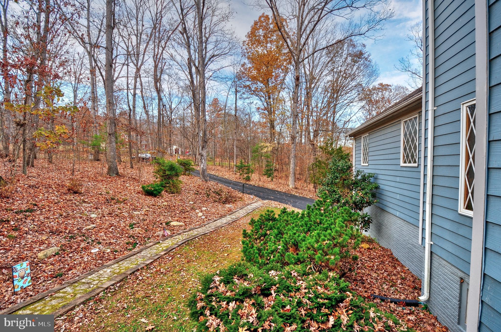 3970 Panhandle Road Front Royal, VA 22630 - Photo 80 of 93 Stone walkway to the front door
