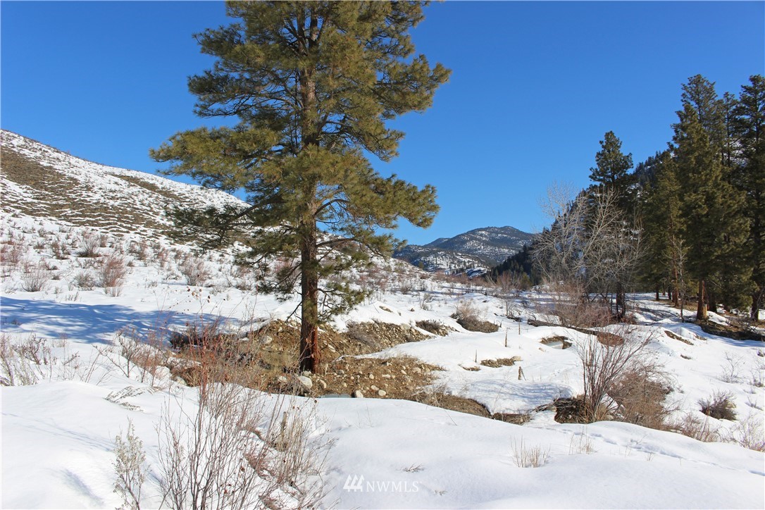 1 West Chewuch Road Winthrop, WA 98862 - Photo 10 of 11 Gallery Image 10