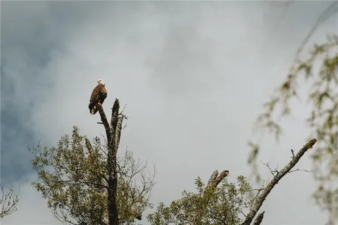 $660,000 | 700 Cottage Lane, Covington, LA 70433