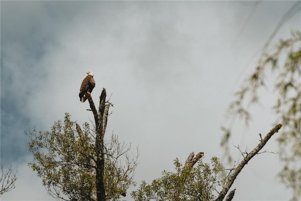 700 Cottage Lane Covington, LA 70433 - Photo 50 of 50