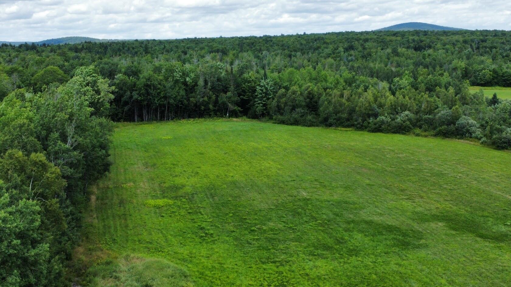 Lot 1 Townline Road Merrill, ME 04780 - Photo 17 of 21 dji_fly_20240722_131124_360_172166858430