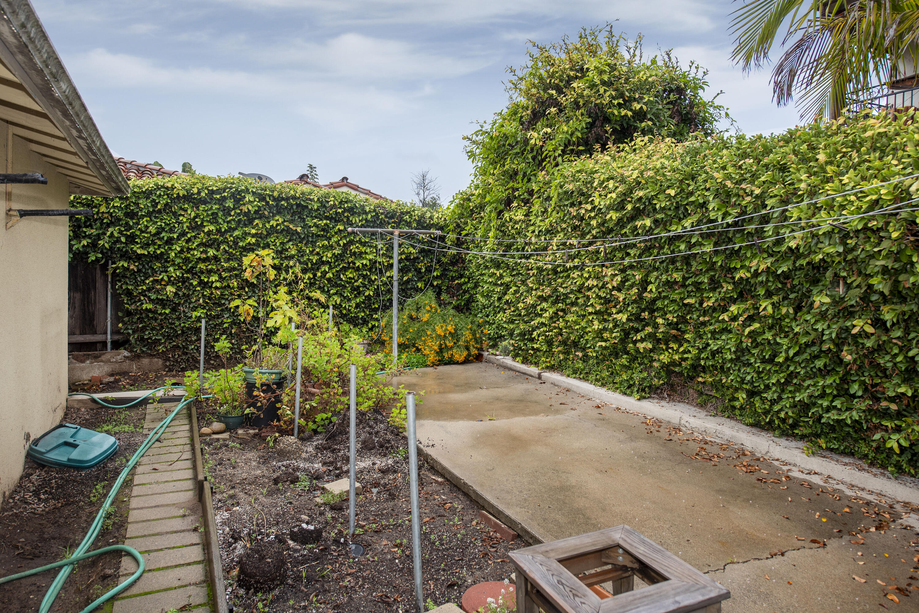 1308 Bath Street Santa Barbara, CA 93101 - Photo 16 of 19 a view of a backyard with plants