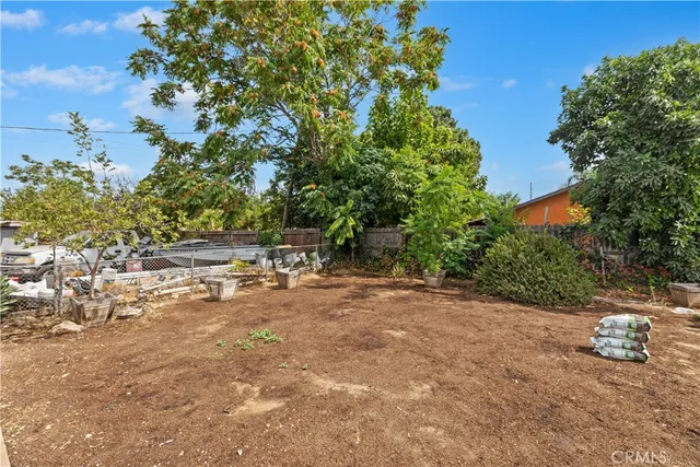 a view of a fire pit with large trees